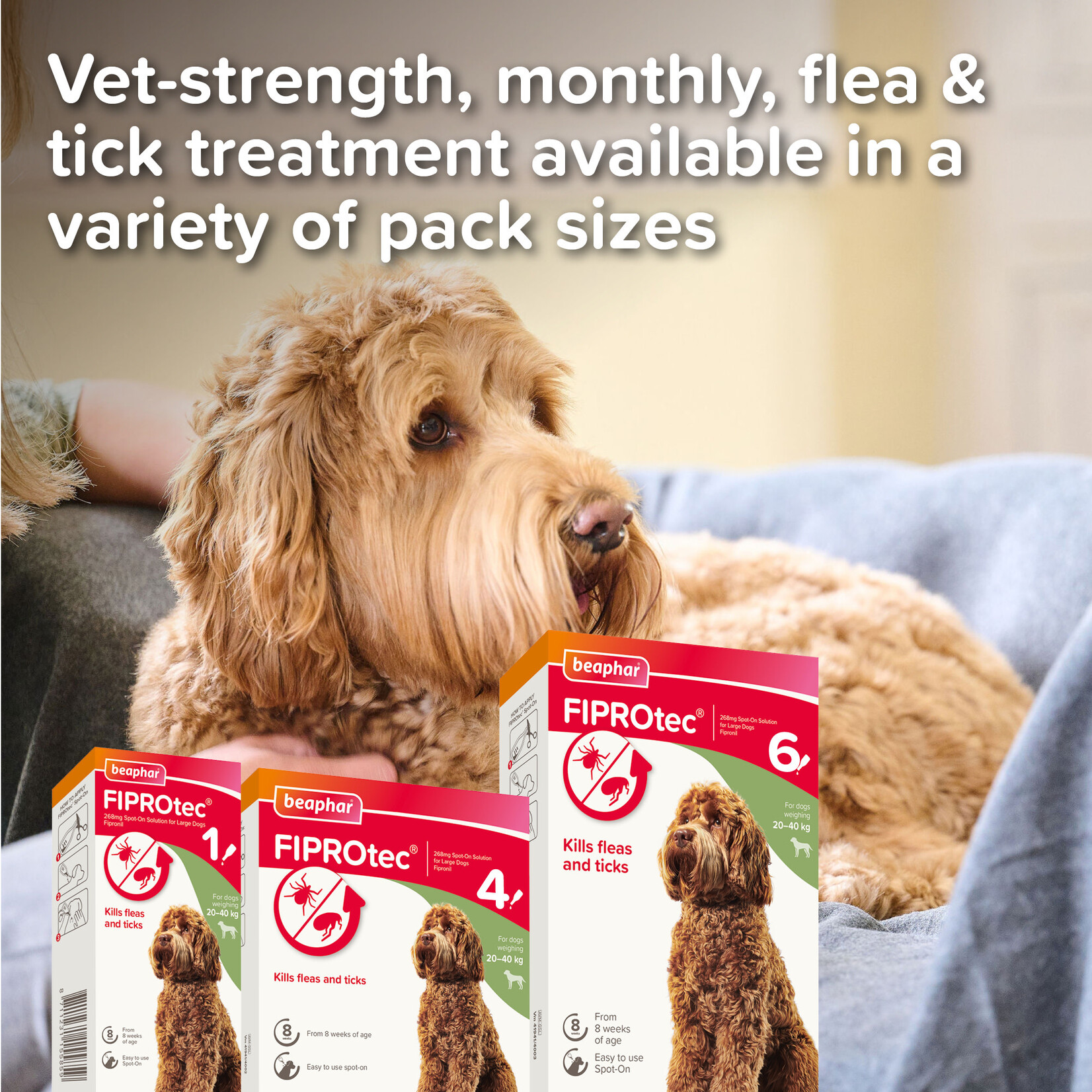 Beaphar FIPROtec Flea & Tick Spot On Solution for Large Dogs