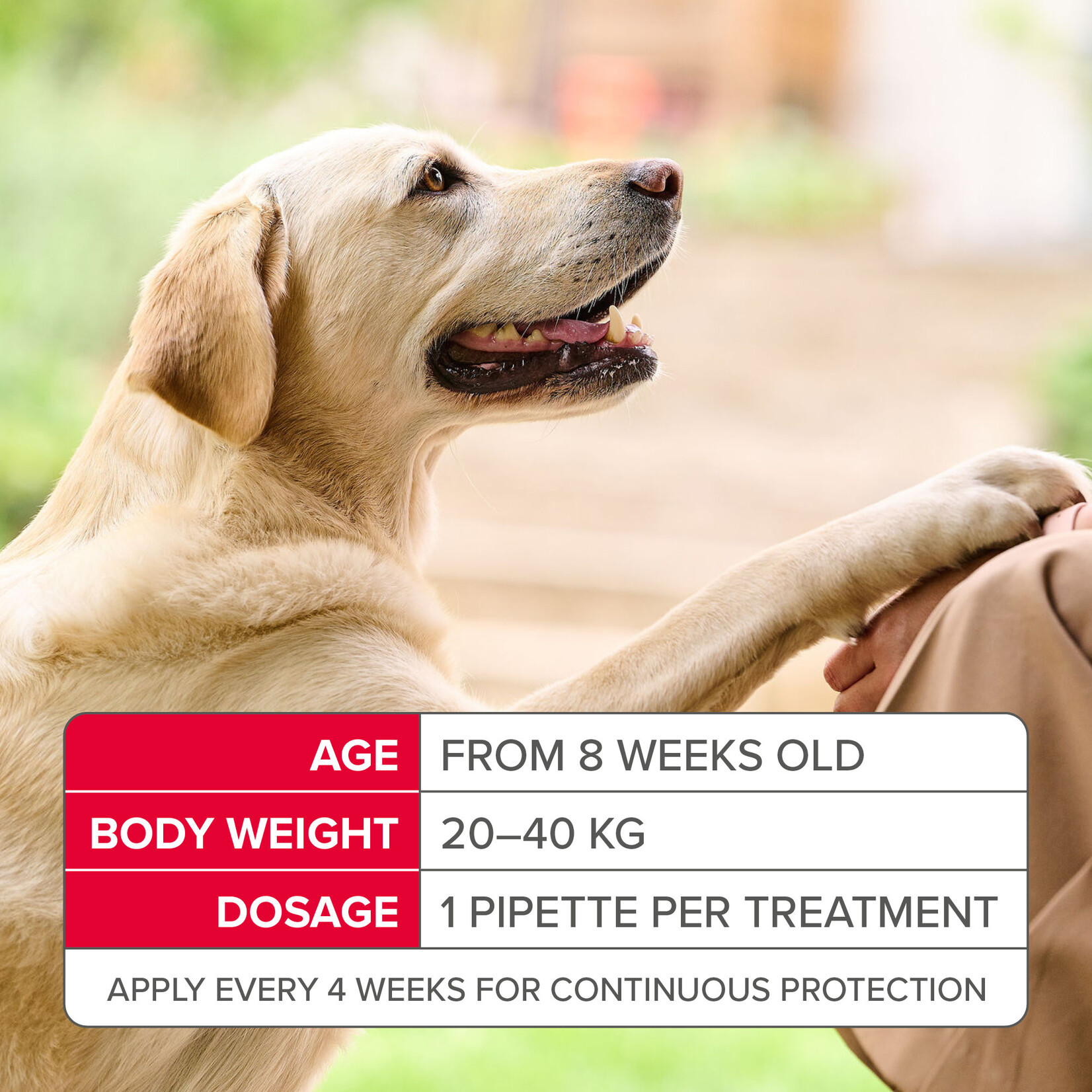 Beaphar FIPROtec Flea & Tick Spot On Solution for Large Dogs