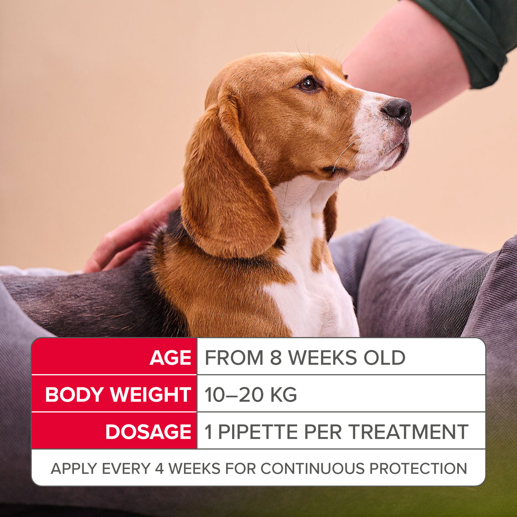 Beaphar FIPROtec Combo Flea & Tick Spot On for Medium Dogs