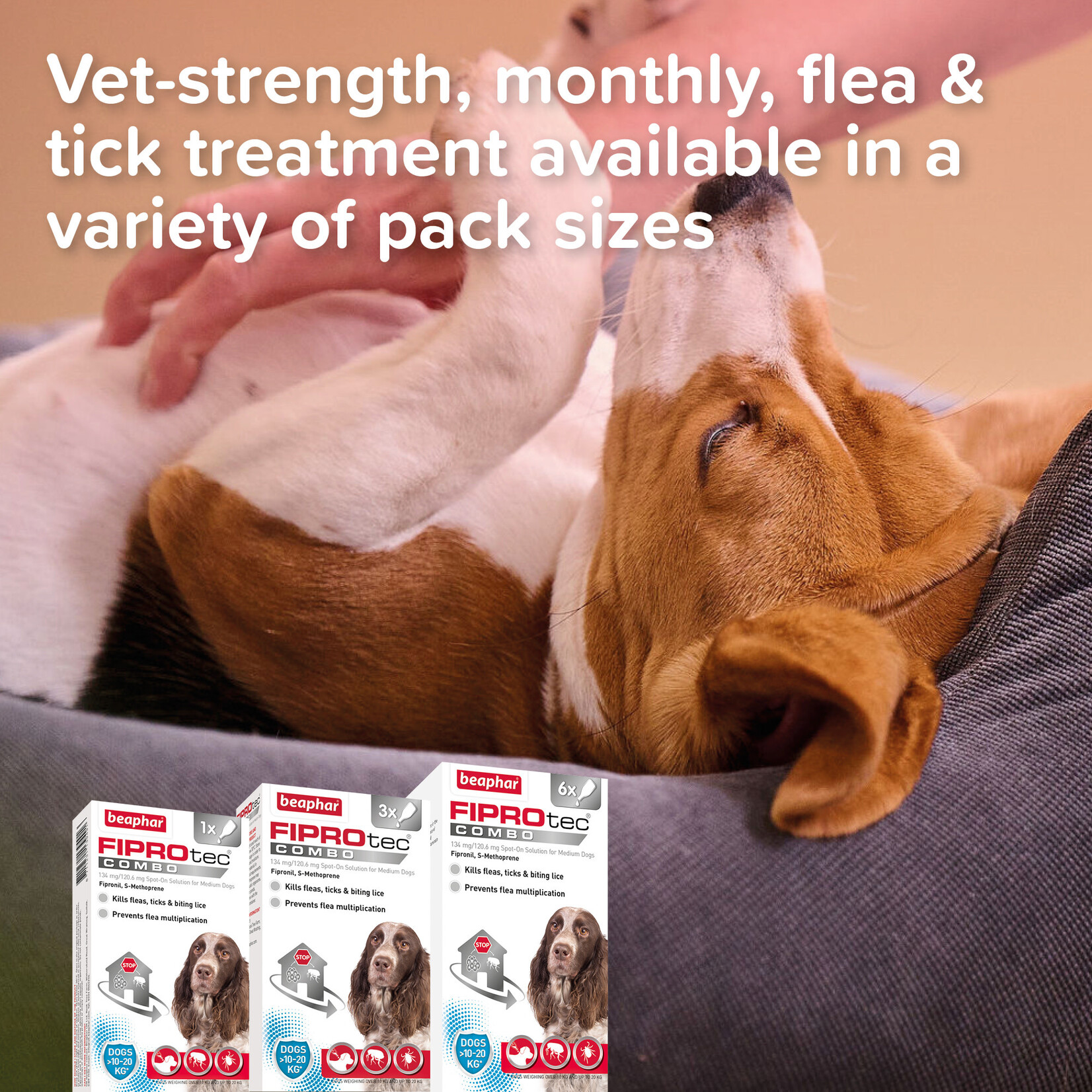 Beaphar FIPROtec Combo Flea & Tick Spot On for Medium Dogs