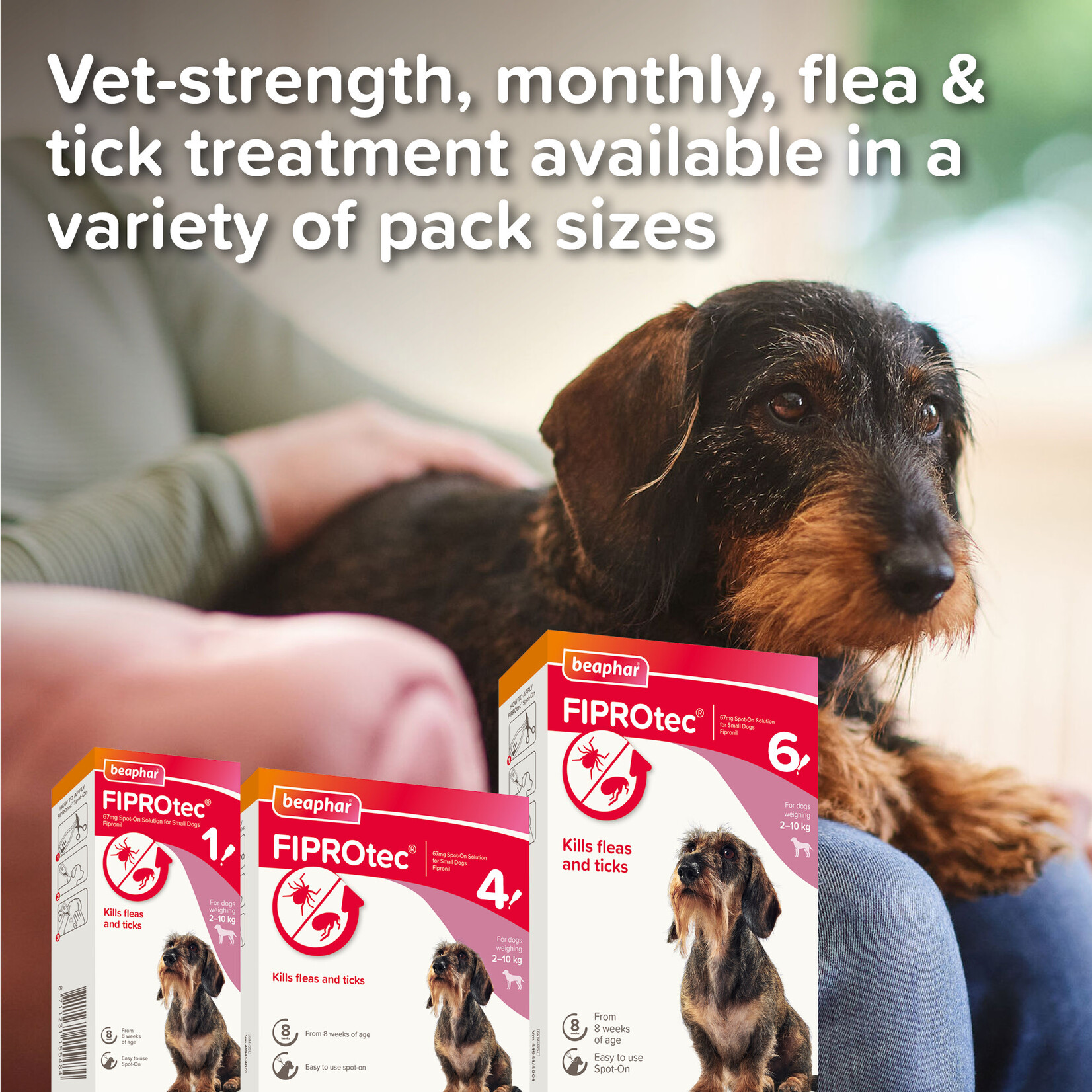 Beaphar FIPROtec Flea & Tick Spot On Solution for Small Dogs
