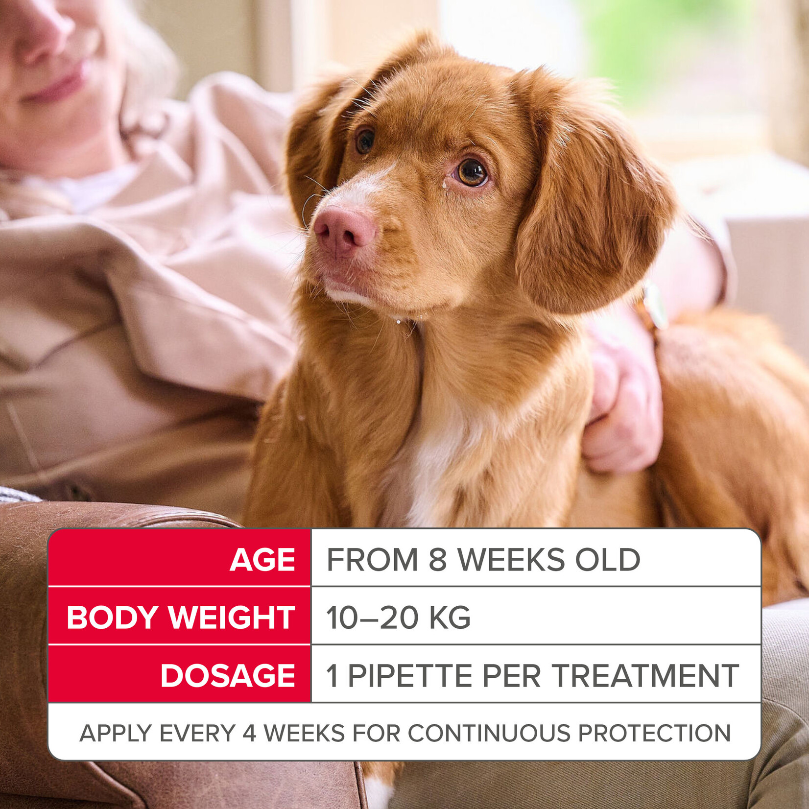 Beaphar FIPROtec Flea & Tick Spot On Solution for Medium Dogs