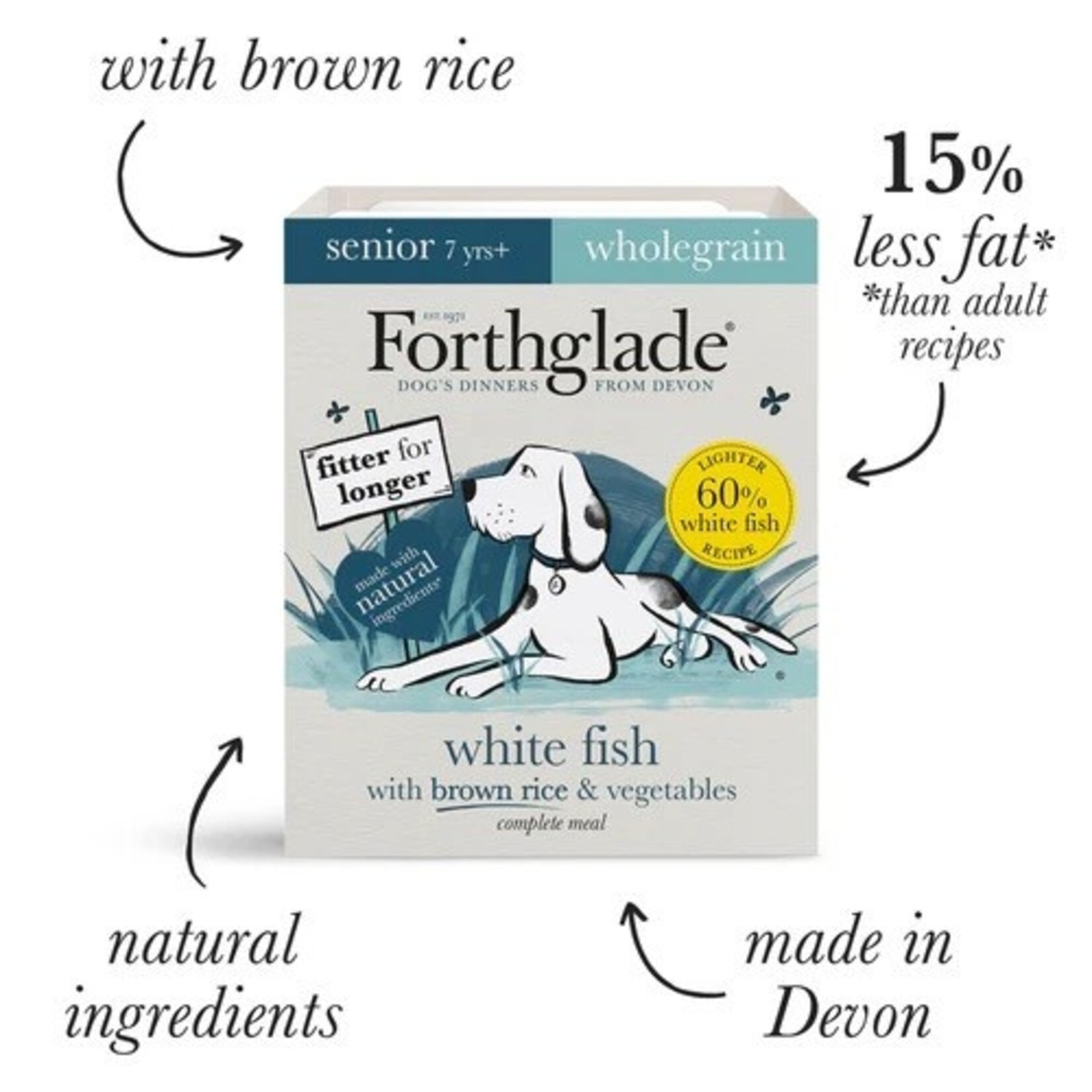 Forthglade Complete Senior Wholegrain White Fish with Brown Rice Wet Dog Food, 395g