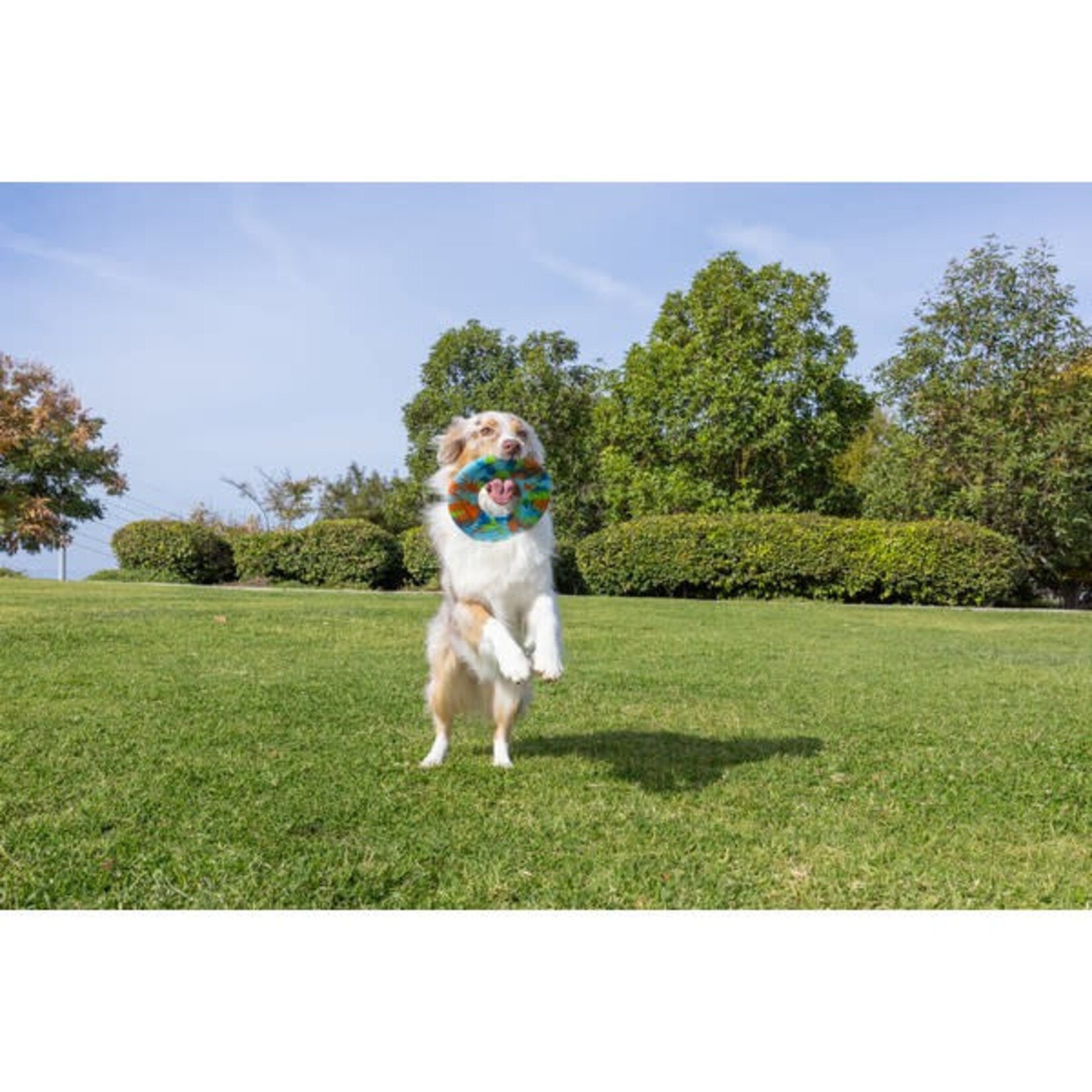 Chuckit! Eco Fetch Flyer Rubber Dog Toy