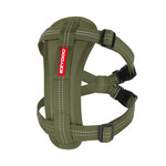 EzyDog Essential Chest Plate Dog Harness with Seat Belt Attachment, Green