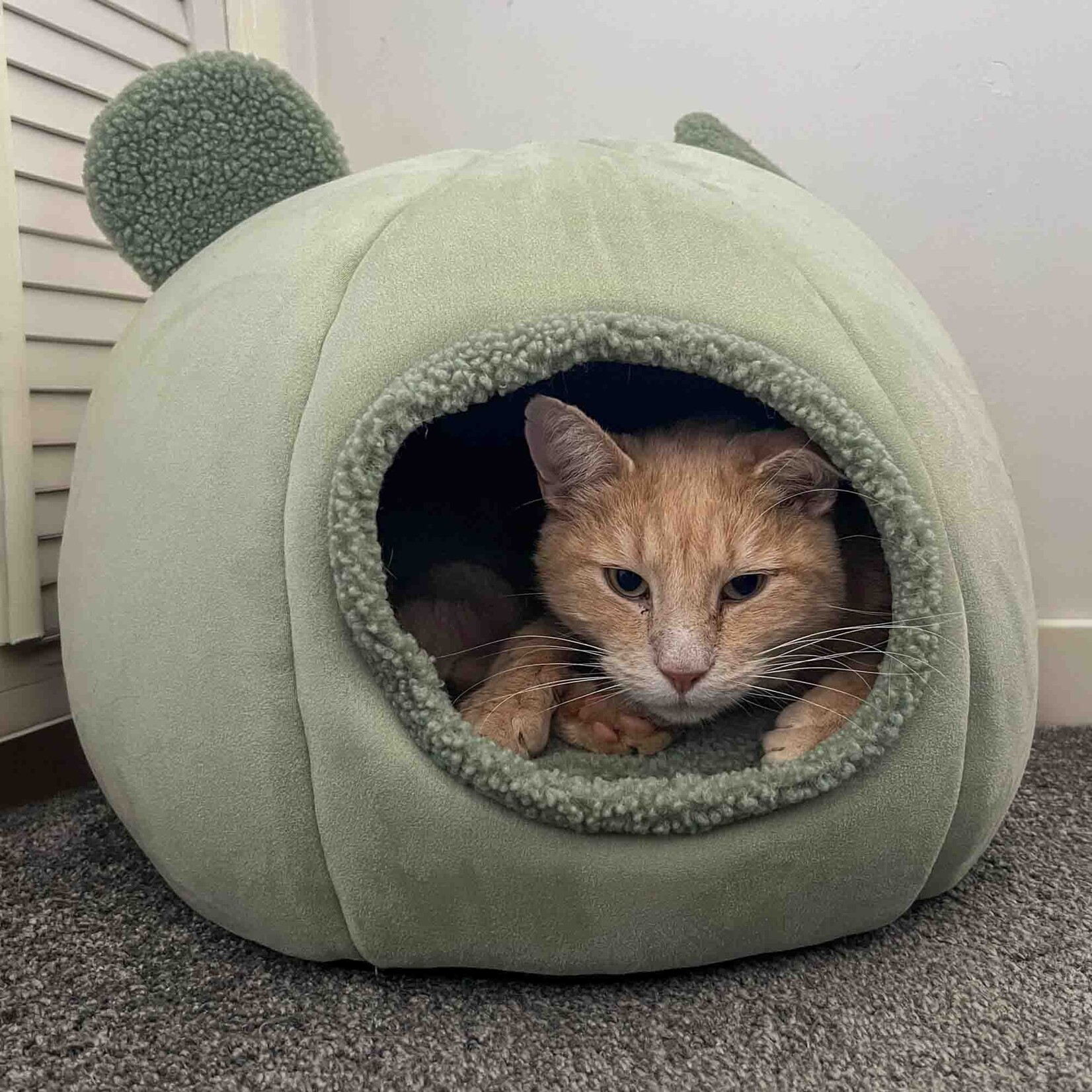 Ancol Teddy Bear Ear Cave Cat Bed