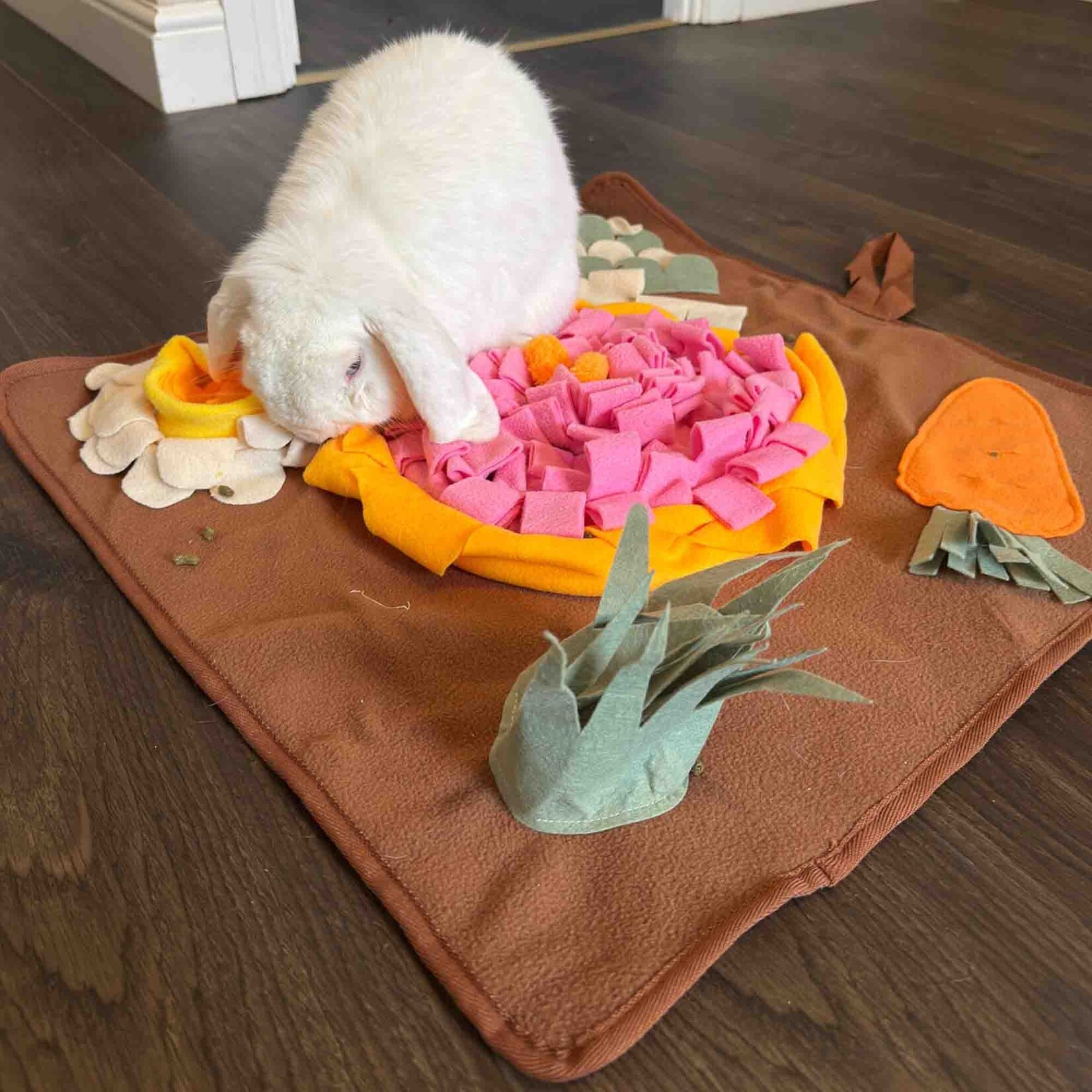 Ancol Veg Patch Small Animal Snuffle Mat