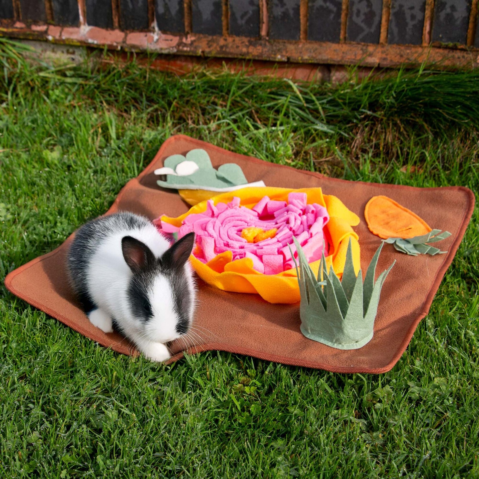 Ancol Veg Patch Small Animal Snuffle Mat