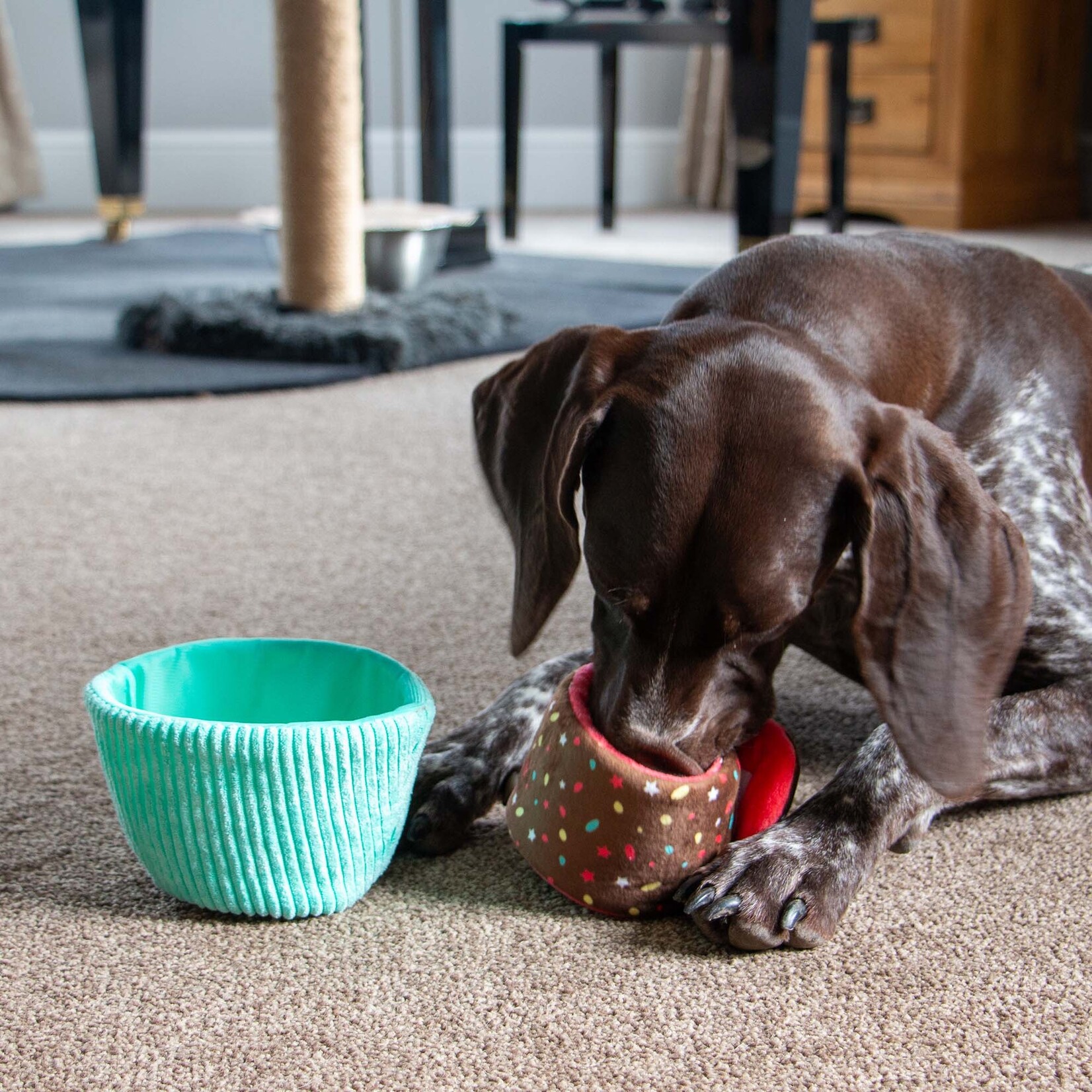Ancol Pawty Snuffle Blue Cupcake Foraging Dog Toy