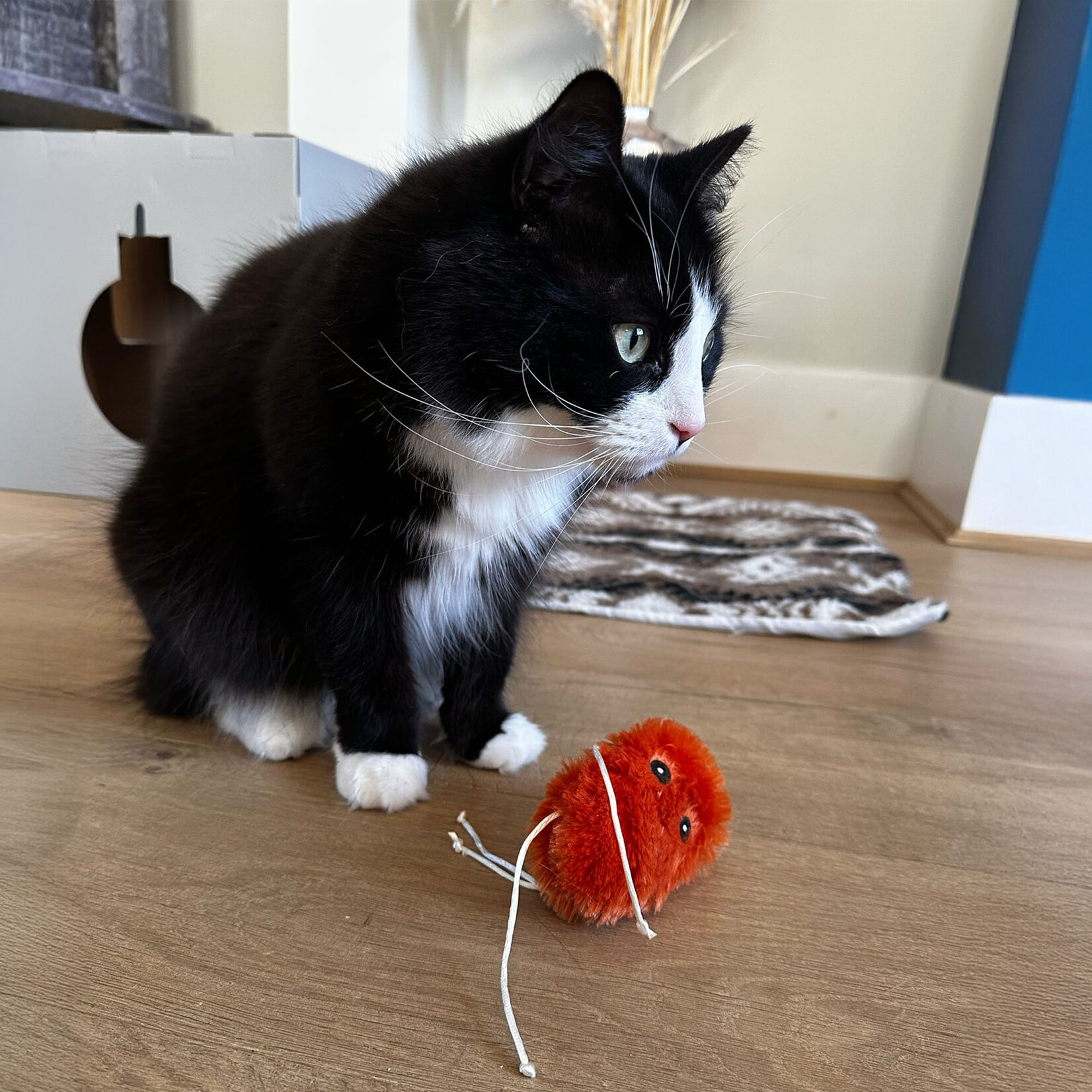 Ancol Lacey The Sweet Potato Catnip Cat Toy