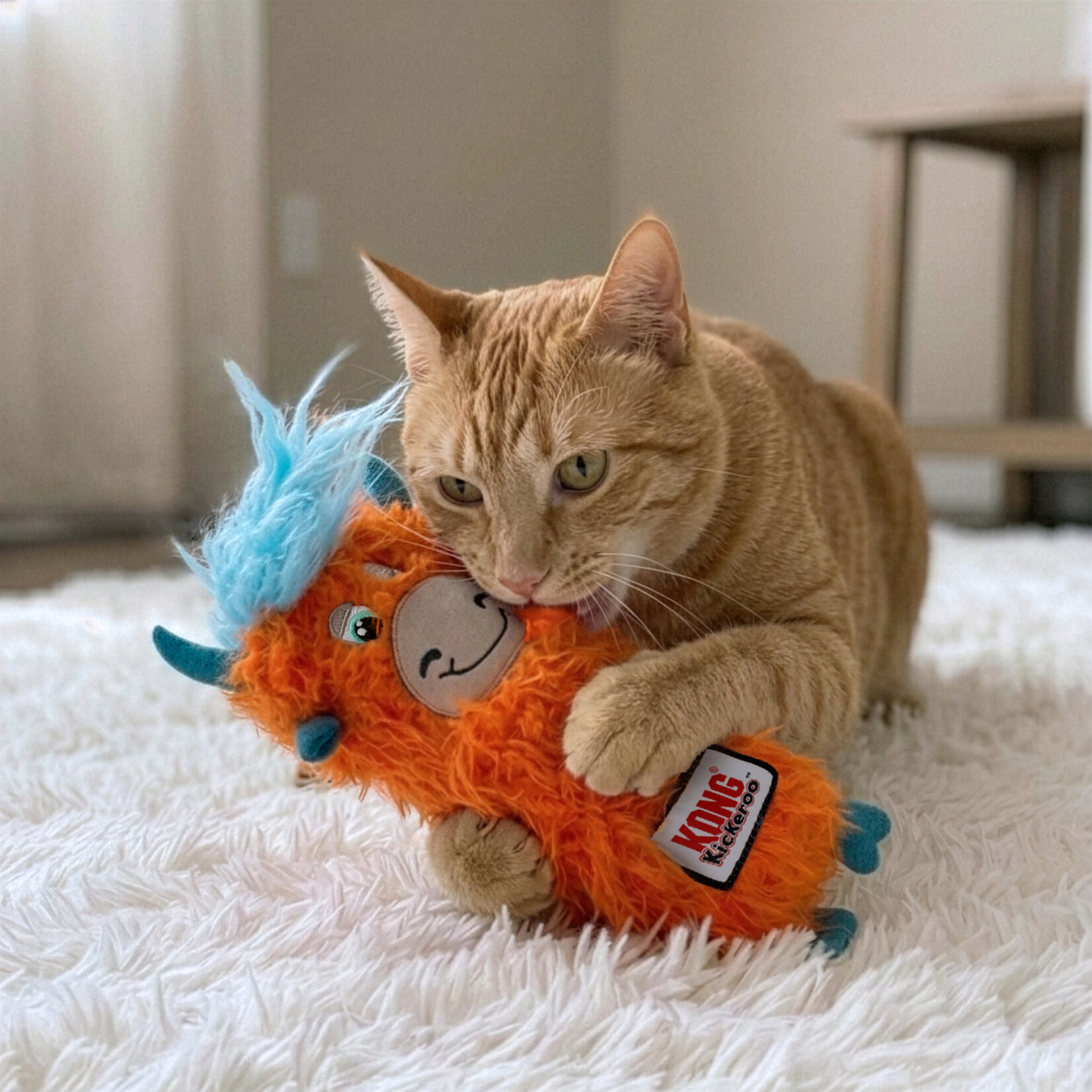 KONG Kickeroo Highland Cow Catnip Cat Toy, Assorted