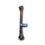 Anco Naturals Ostrich Whole Metatarsus Bone Dog Treat Chew