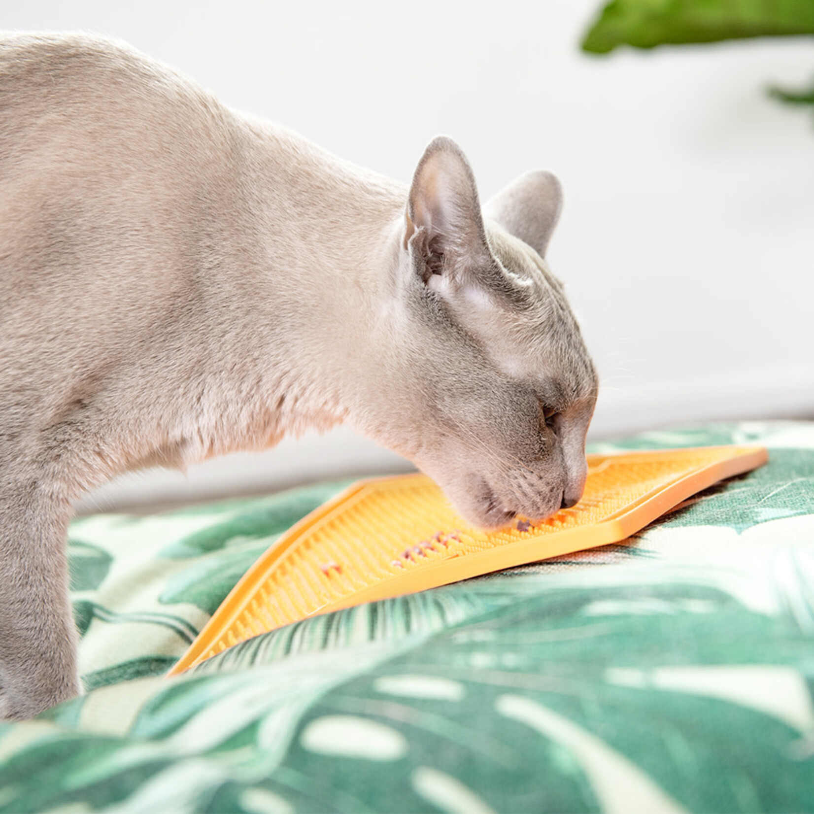 LickiMat Classic Soother Calming Slow Feeder Lick Mat for Dogs