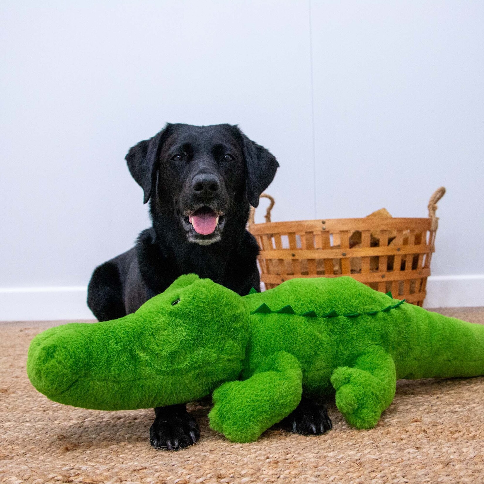 Ancol Cuddle Giant Croc Squeaky Plush Dog Toy