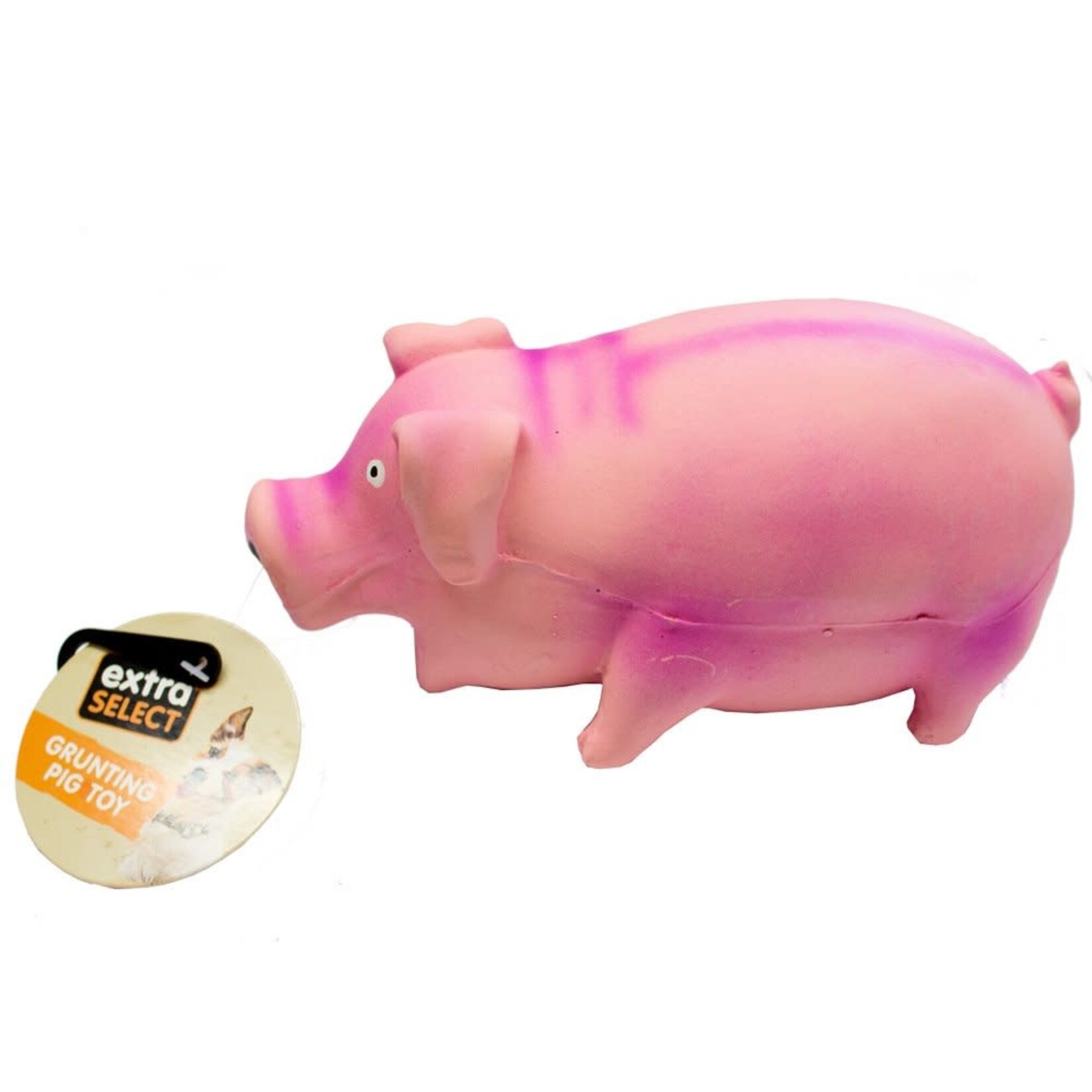 Extra Select Grunting Pig Rubber Dog Toy