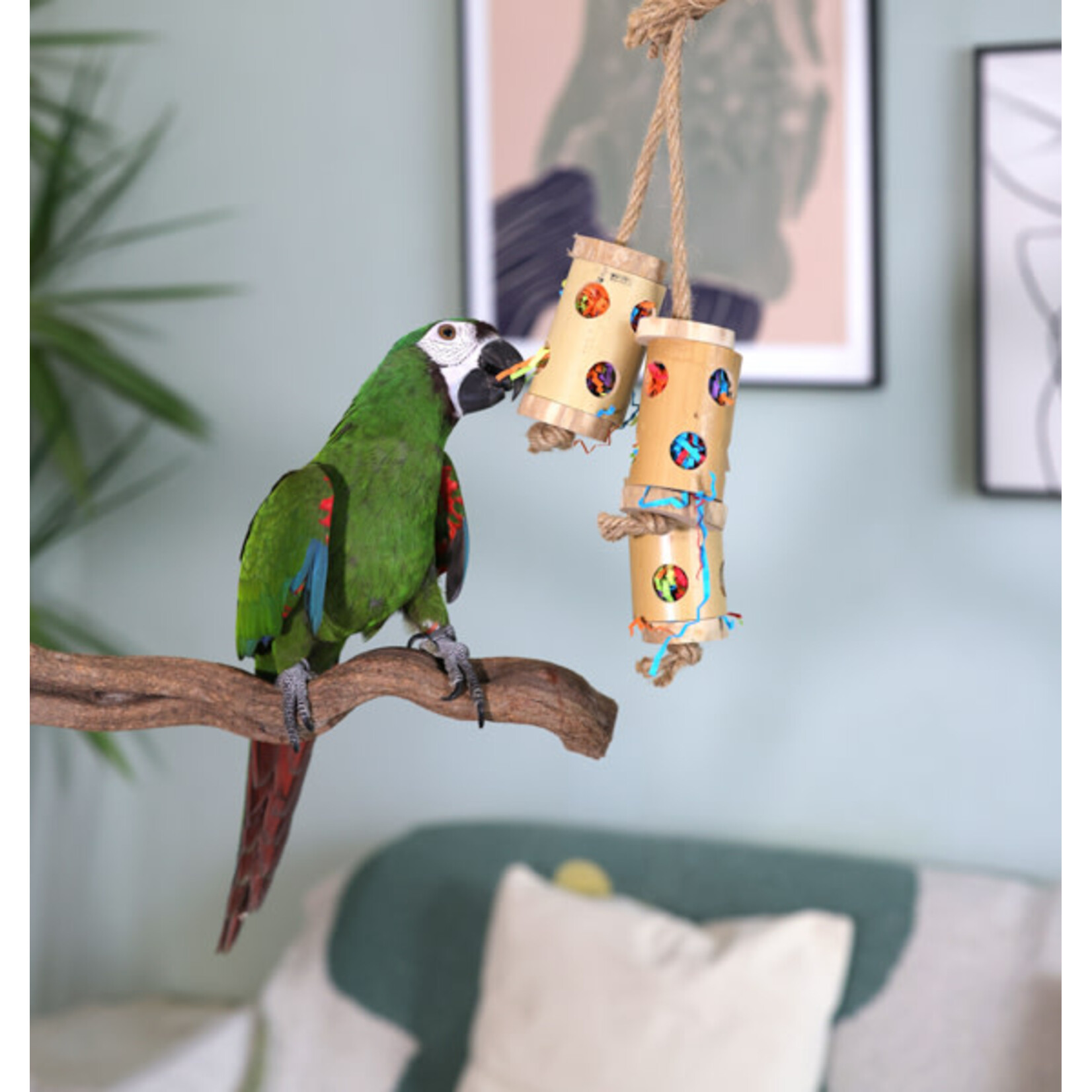 Rosewood Boredom Breaker Bamboo Forage Trio Bird Toy