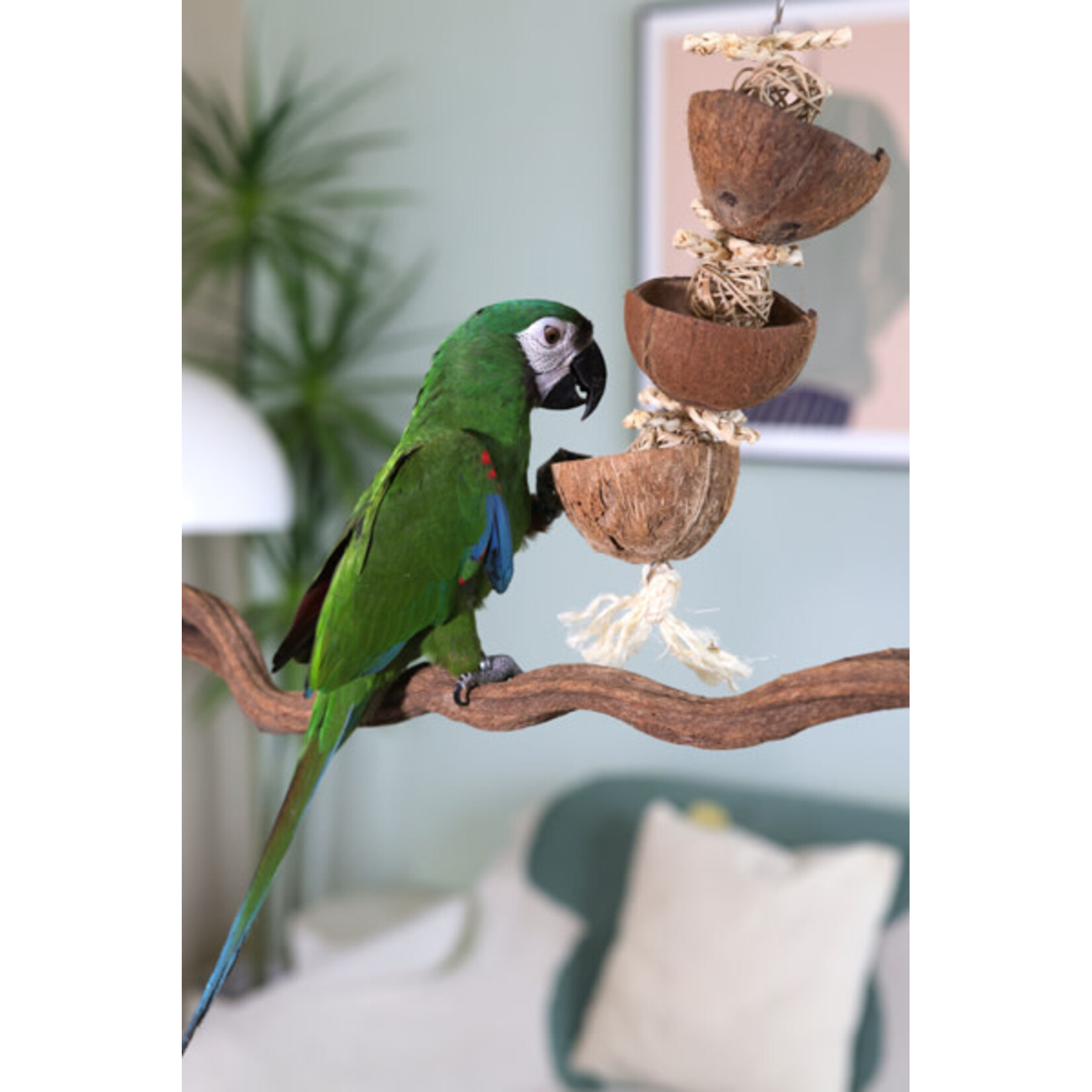Rosewood Naturals Coco Foraging Tower Small Animal Toy