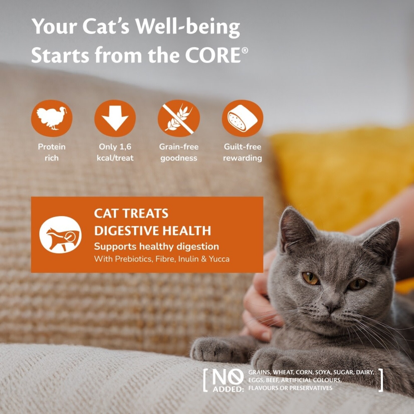 Wellness CORE Cat Digestion Health Prebiotics Treats, Turkey 50g