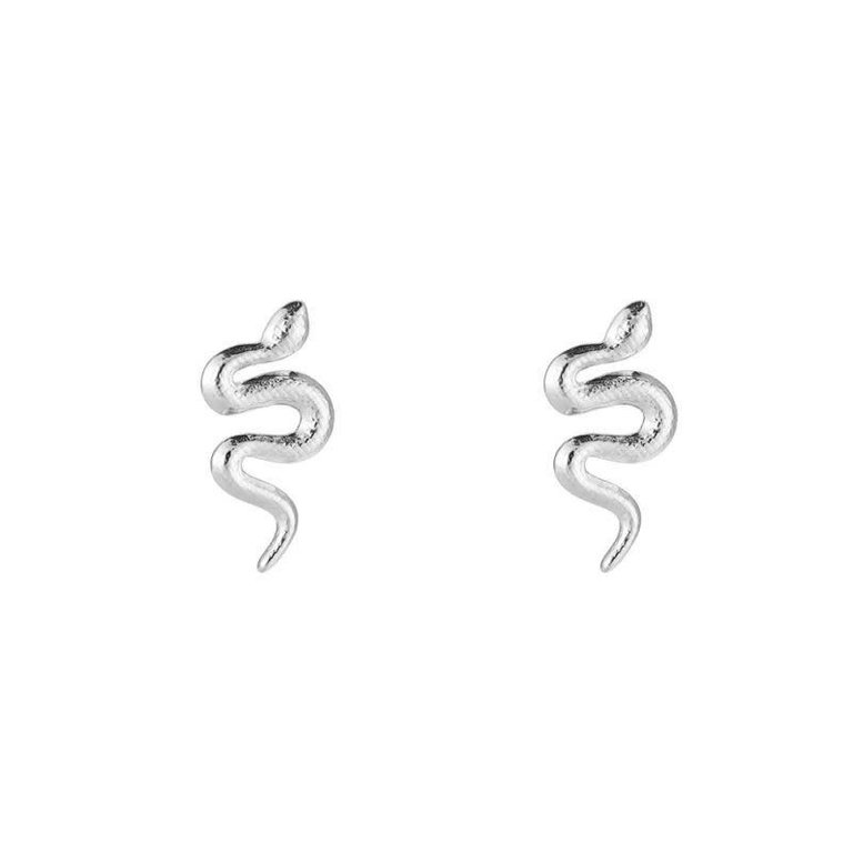Whirling Snake Stainless Steel Earrings