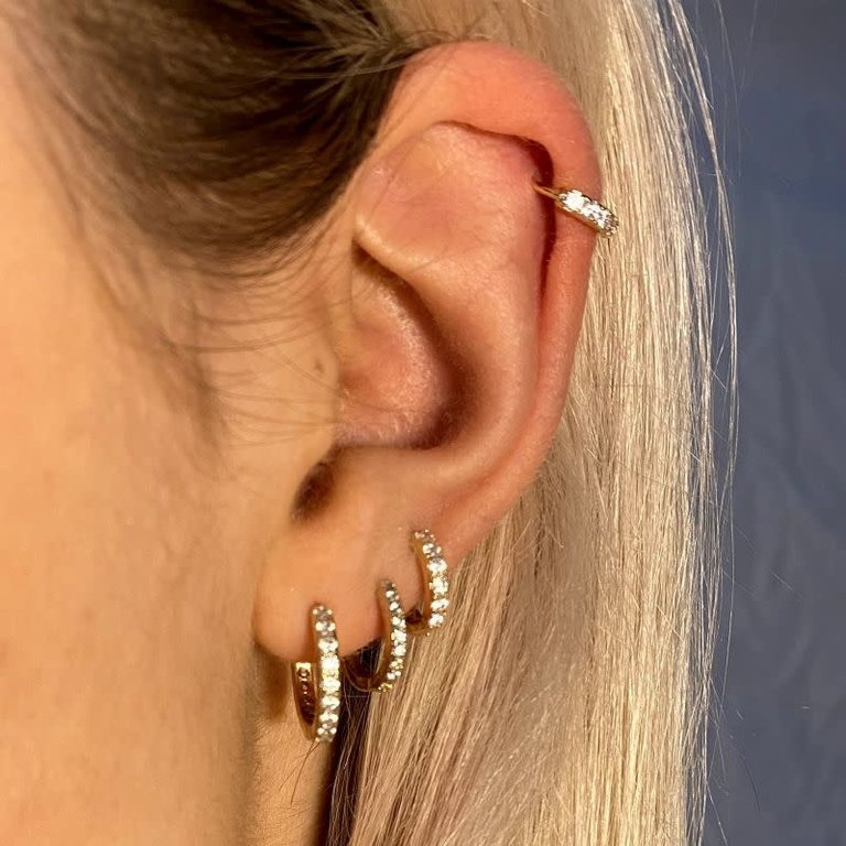Earrings Classic Gold