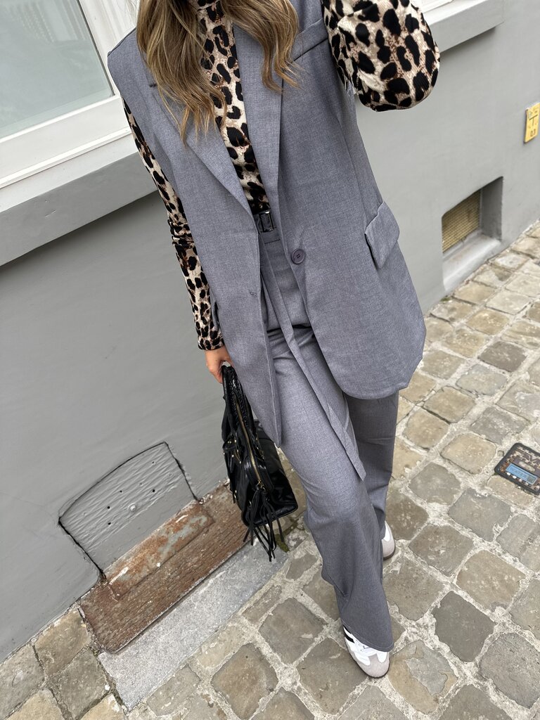Axelle pantalon grey