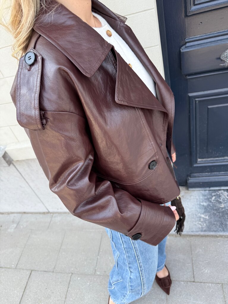 Bowie trenchcoat brown