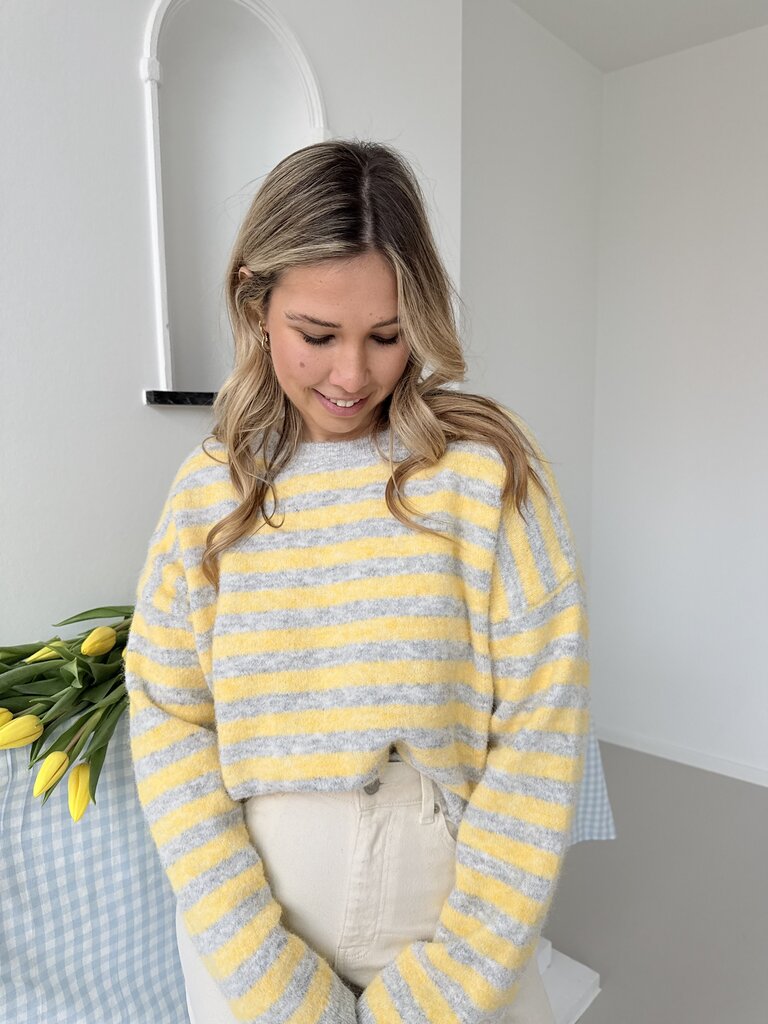 Evi knit grey/yellow