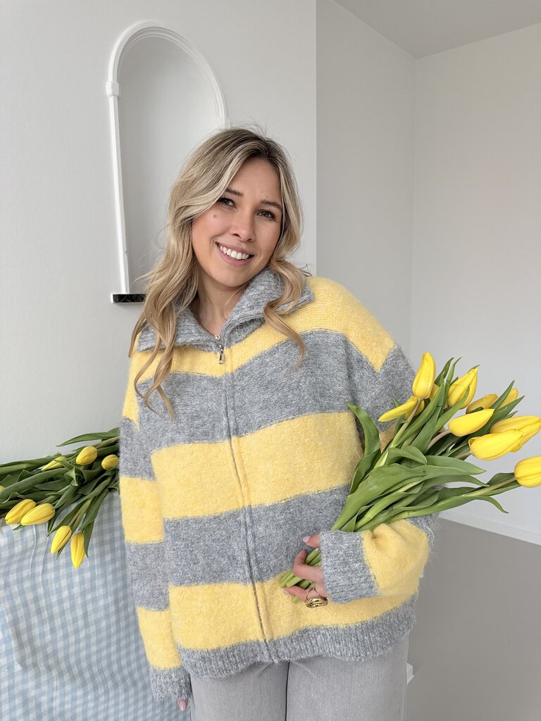 Margo zipper knit grey/yellow