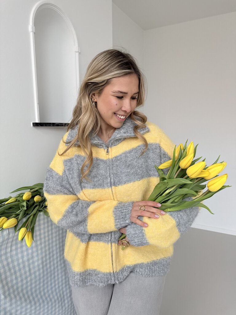 Margo zipper knit grey/yellow