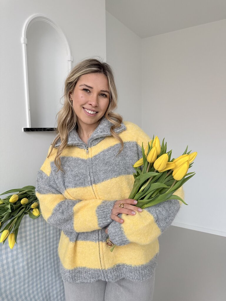 Margo zipper knit grey/yellow