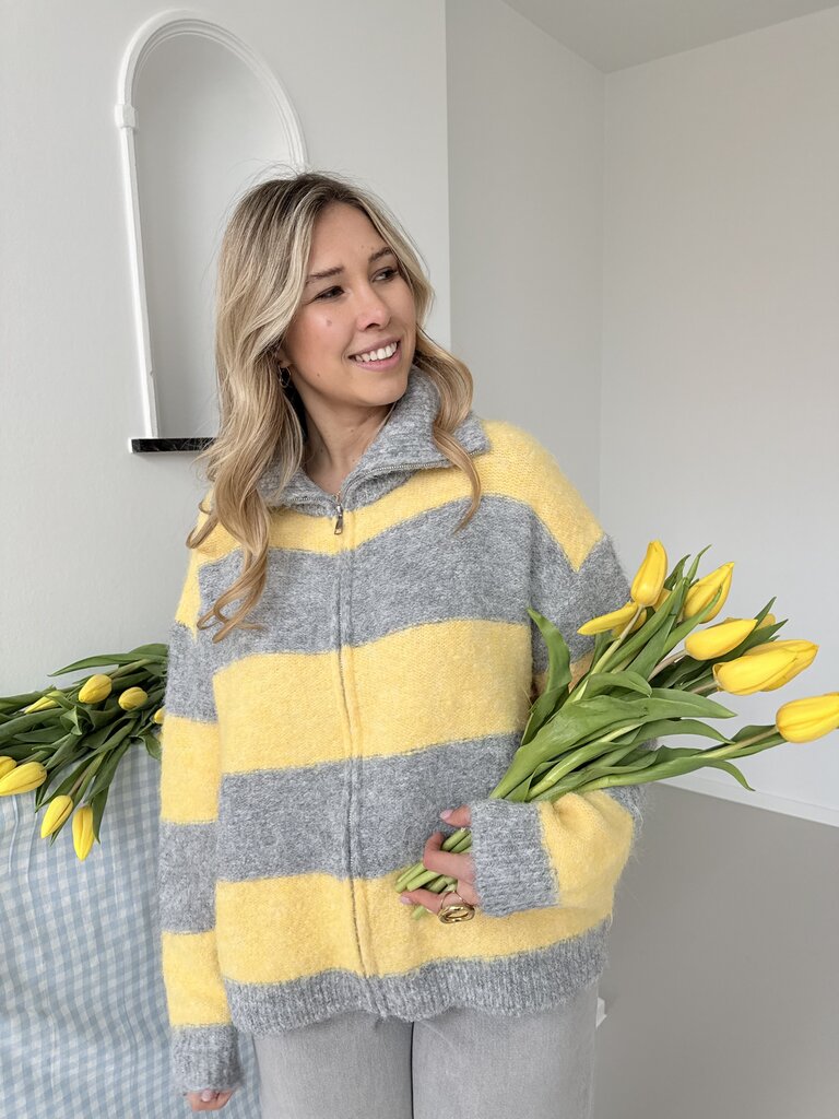 Margo zipper knit grey/yellow