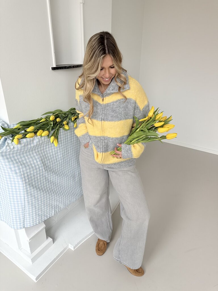 Margo zipper knit grey/yellow