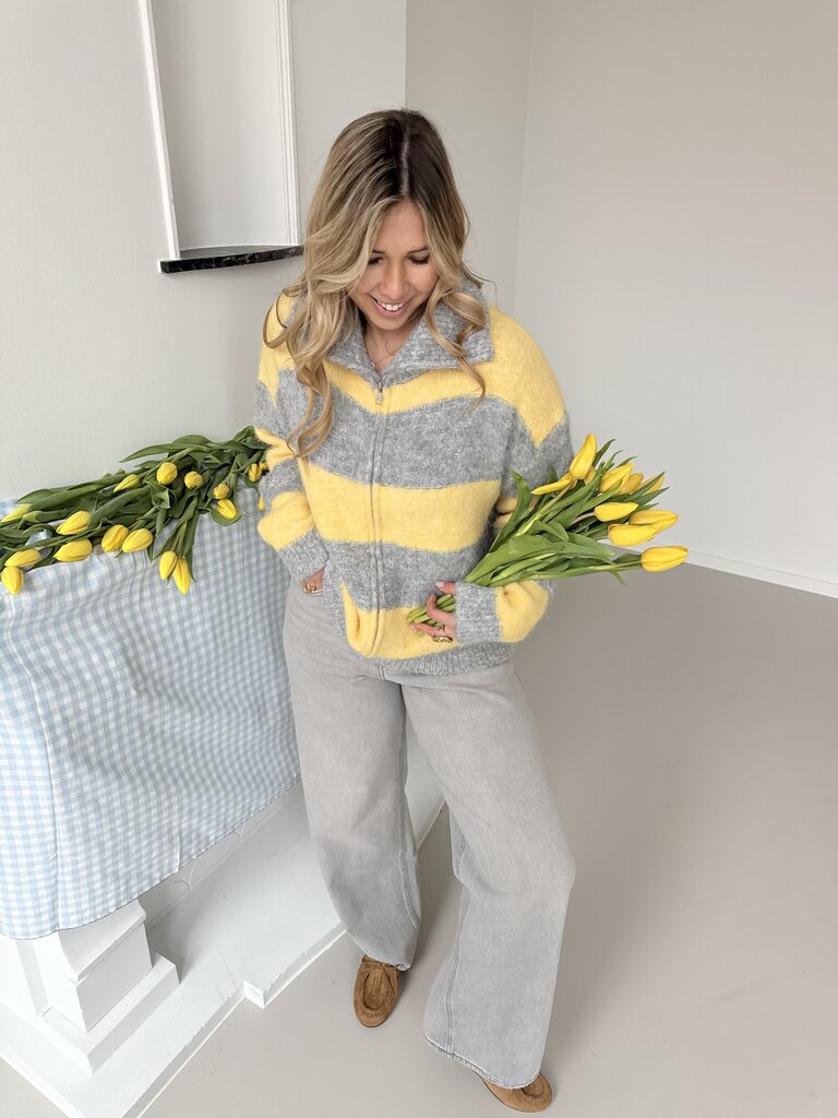 Margo zipper knit grey/yellow