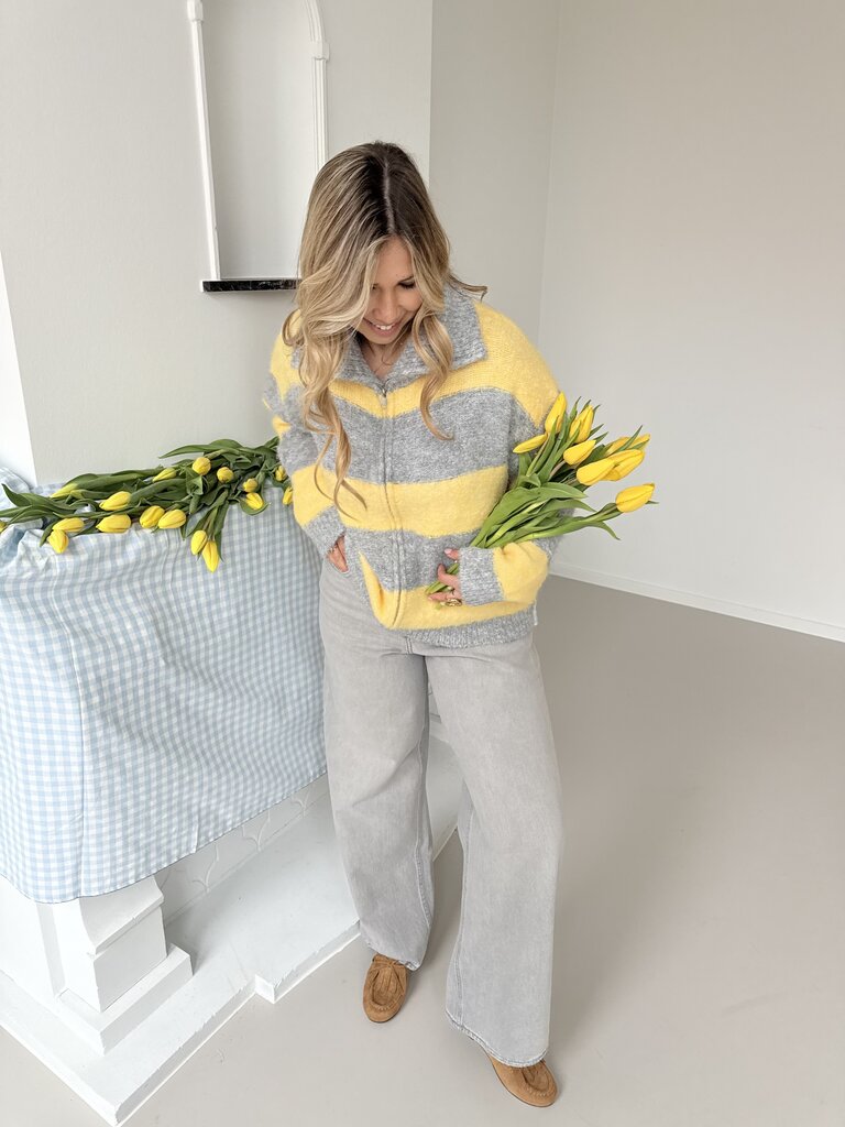 Margo zipper knit grey/yellow