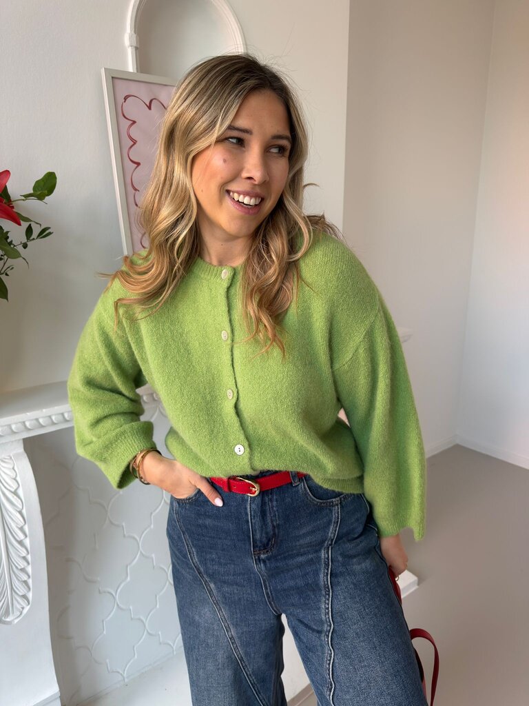 Romy knit olive green