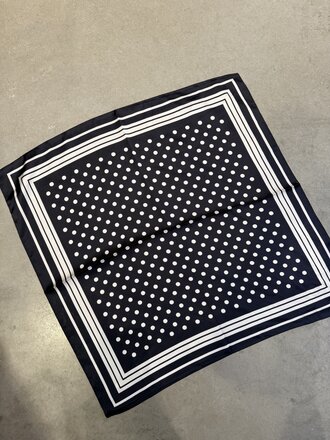 Satin dot scarf  blue