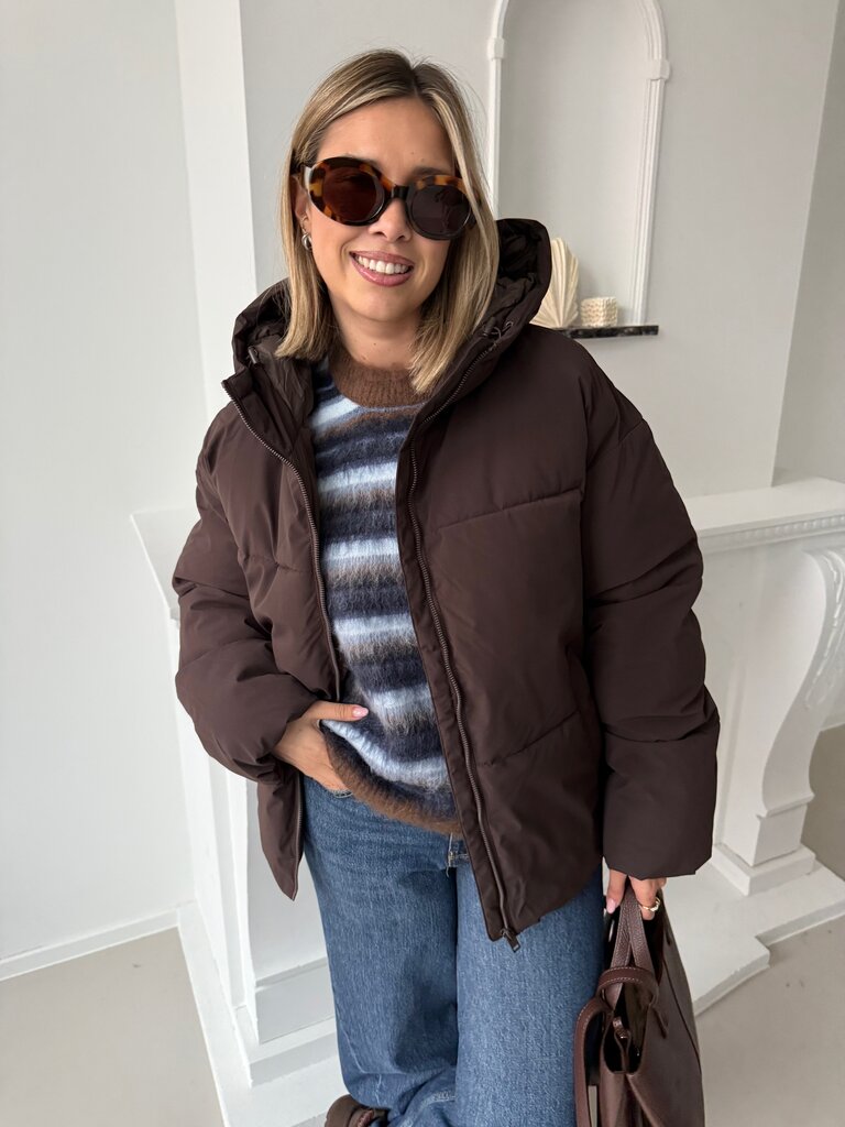 Galaxy puffer brown