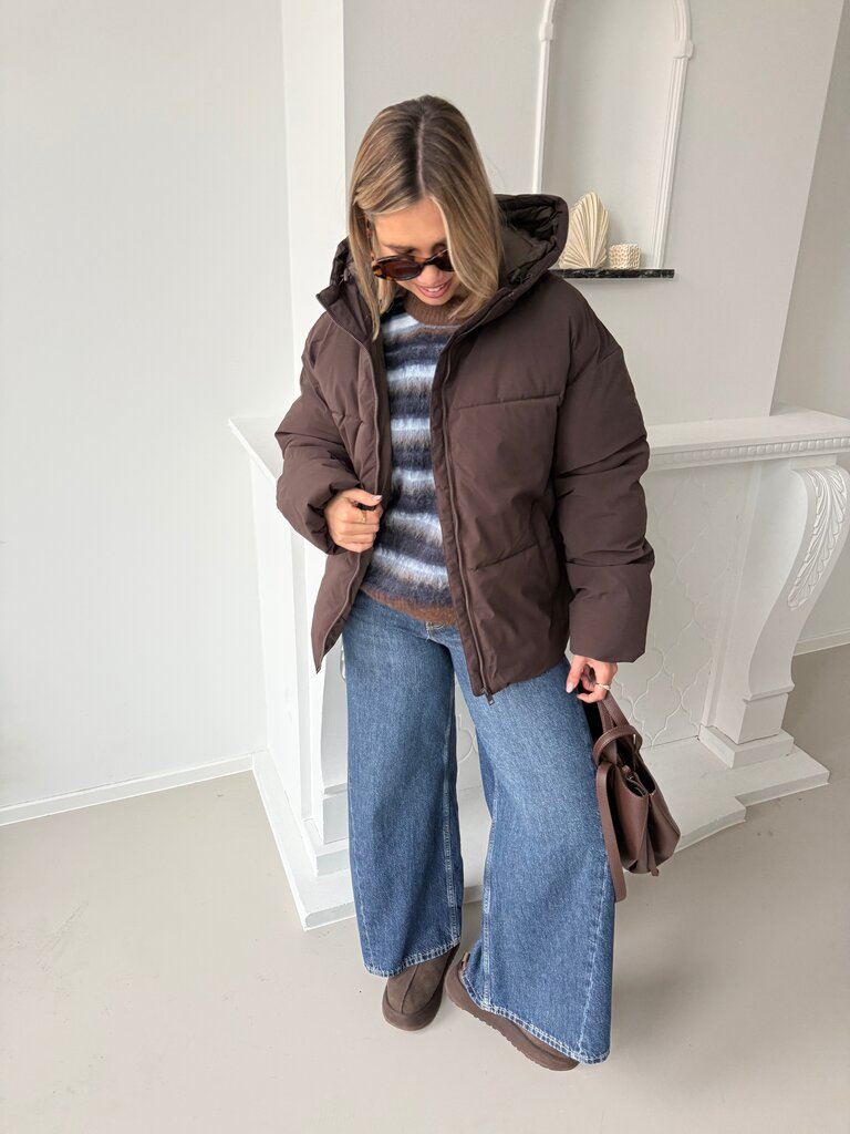 Galaxy puffer brown