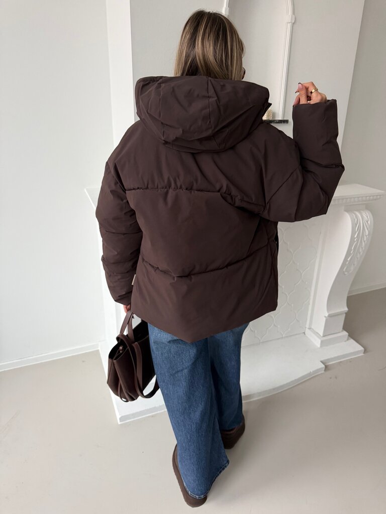 Galaxy puffer brown