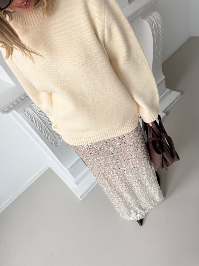 Leny skirt silver