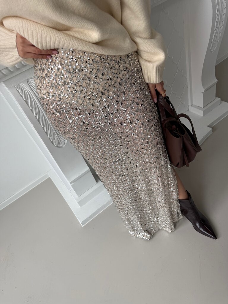 Leny skirt silver