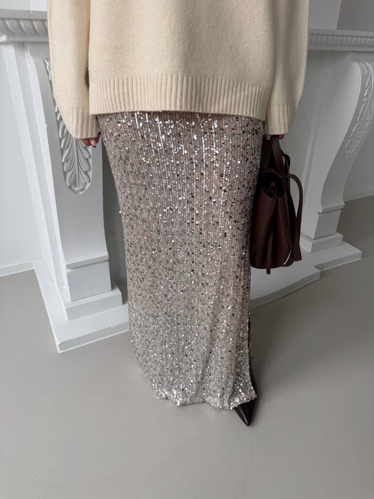 Leny skirt silver