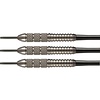 Target Power Silverlight Taylor A 22 Gramm - Steeldarts