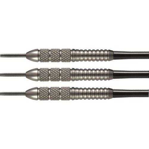 Target Power Silverlight Taylor A 22 Gramm - Steeldarts