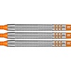 Target Raymond van Barneveld RVB 80% Softdarts