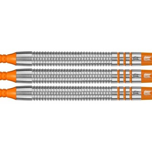 Target Raymond van Barneveld RVB 80% Softdarts