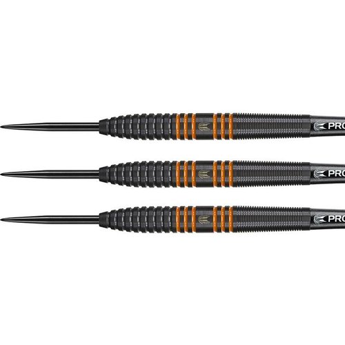 Target Target Raymond van Barneveld 80% Black - Steeldarts