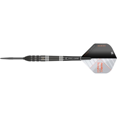 Target Target Raymond van Barneveld x Echo Swiss Point 95% - Steeldarts