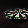 KOTO KOTO King Pro - Profi-Dartboard