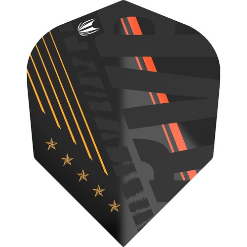 Target Target Raymond van Barneveld Black NO6 - Dart Flights